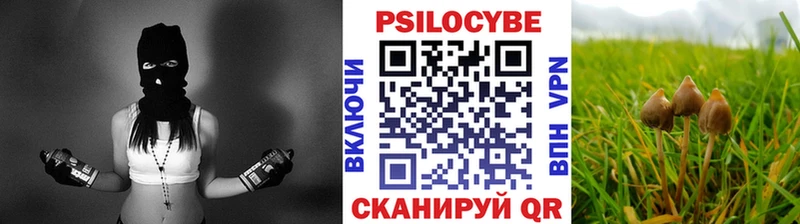 Галлюциногенные грибы ЛСД купить сайты Нарткала